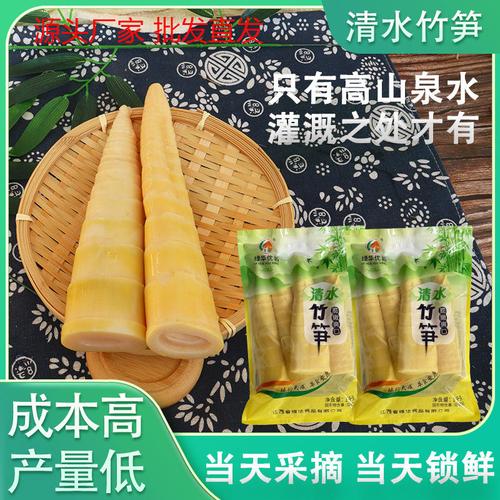 源头工厂大竹笋脆嫩酒店餐饮配送生鲜高山天然新鲜嫩笋脆笋笋尖