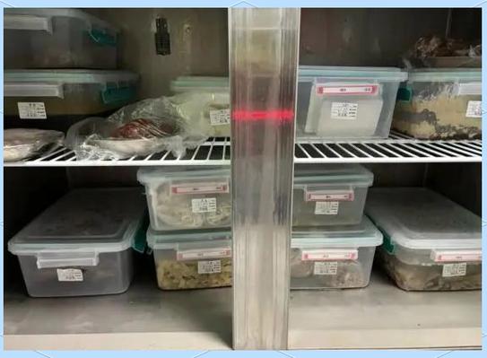 小餐饮食品安全指南:全面解析"五净三清"原则
